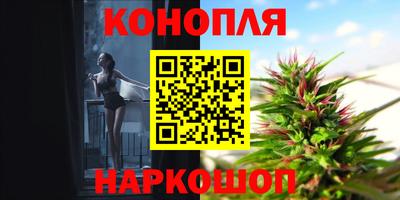индика Аргун